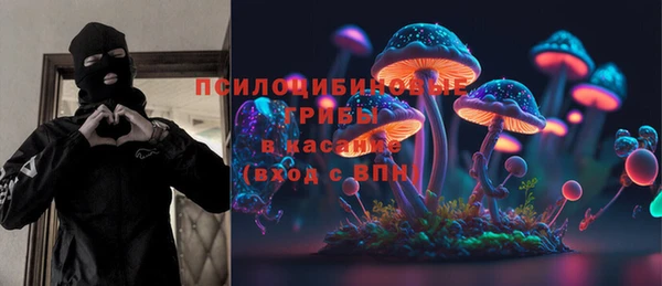 дживик Армянск
